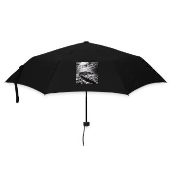 Brochet Photo 3 - Parapluie standard - noir - Devant