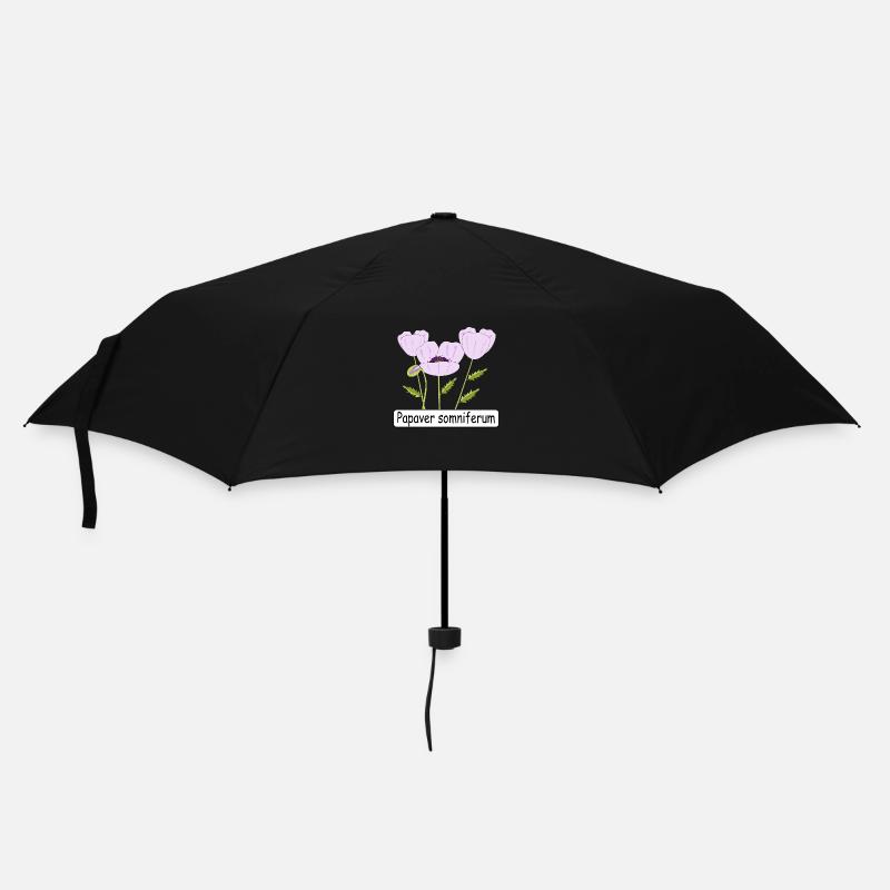 Papaver somniferum - Parapluie standard - noir