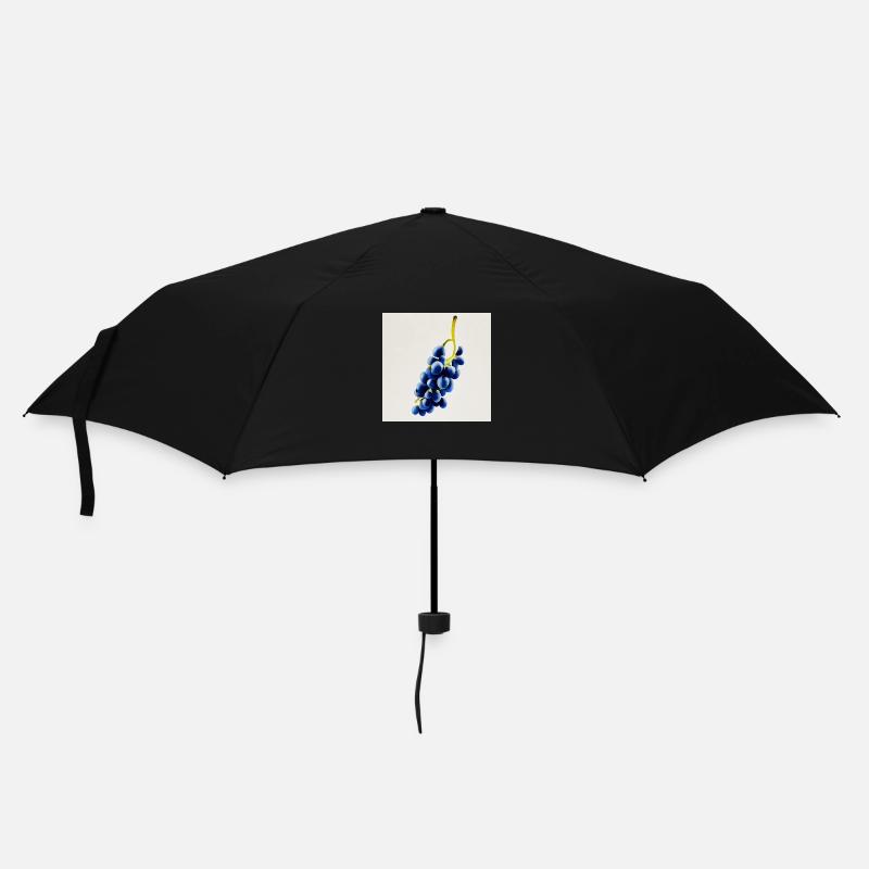 Raisins - Parapluie standard - noir