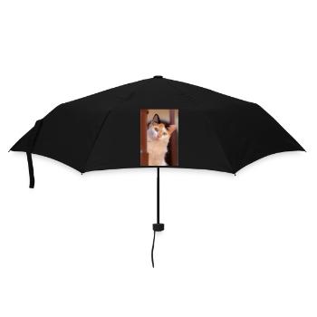 Die Katze - Regenschirm (klein) - Schwarz - Vorne