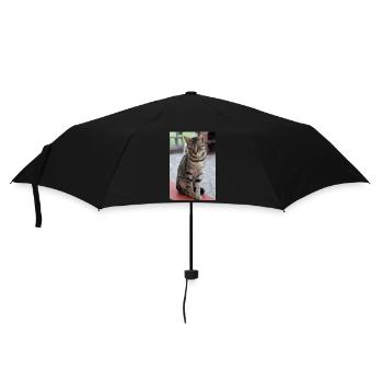Katze Kätzchen Poster Katzenposter - Regenschirm (klein) - Schwarz - Vorne