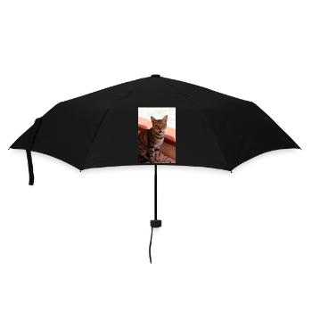 Katze  - Regenschirm (klein) - Schwarz - Vorne