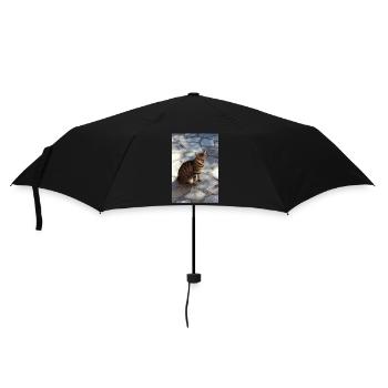 Katze Kätzchen - Regenschirm (klein) - Schwarz - Vorne