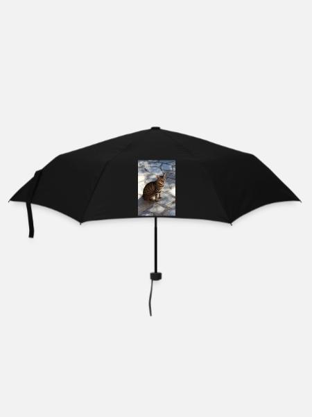 Katze Kätzchen - Regenschirm (klein) - Schwarz