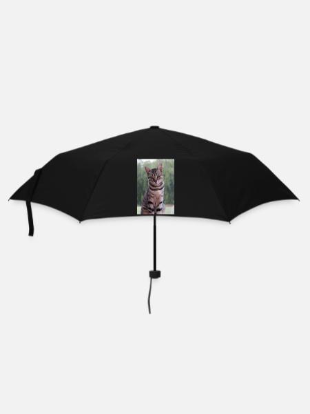 Katze Kätzchen - Regenschirm (klein) - Schwarz