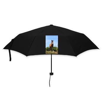 Pferd Pferdeposter - Regenschirm (klein) - Schwarz - Vorne