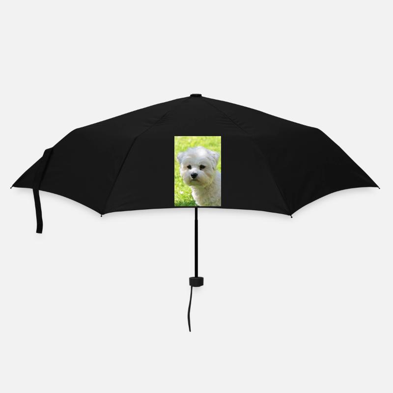 Malteser - Regenschirm (klein) - Schwarz