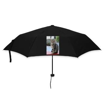 chat, chaton - Parapluie standard - noir - Devant
