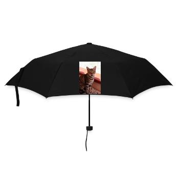 chat, chaton - Parapluie standard - noir - Devant
