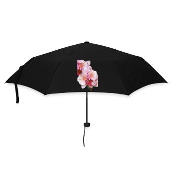 Phalaenopsis Swan Blush Peloric Orchid Blossom - Umbrella (small) - black - Front