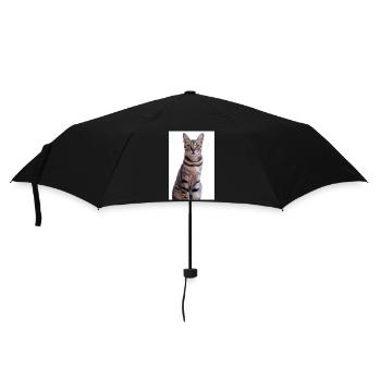 Katze Kätzchen - Regenschirm (klein) - Schwarz - Vorne