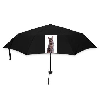 Cat Cats Kitten Tiger Cat - Umbrella (small) - black - Front