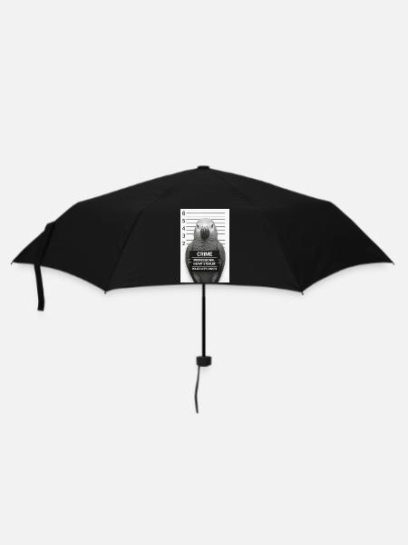 Papagei im Verhör – Herz-Dieb - Regenschirm (klein) - Schwarz