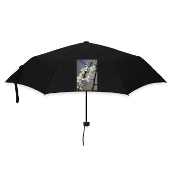 Des cerisiers blancs délicats au printemps - Parapluie standard - noir - Devant