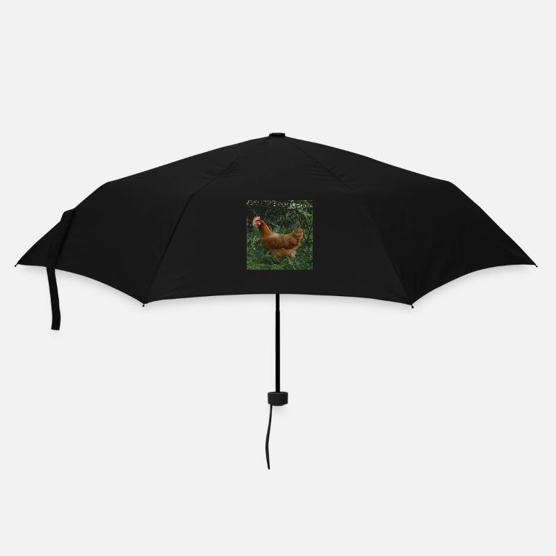 Poulet - Parapluie standard - noir