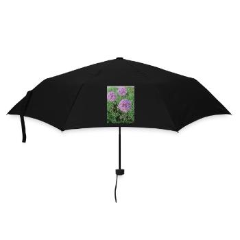 Purple ornamental leek balls in spring - Umbrella (small) - black - Front