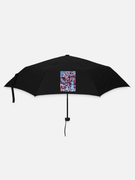 pink magnolia branches in spring - Umbrella (small) - black