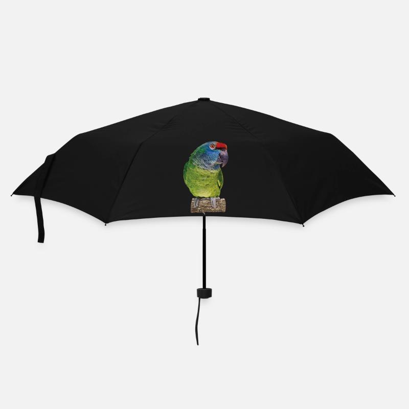 Die Rotrückenamazone - Regenschirm (klein) - Schwarz