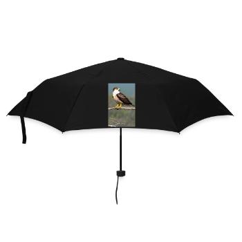 Aigle | Oiseaux | Liberté | Animaux - Parapluie standard - noir - Devant