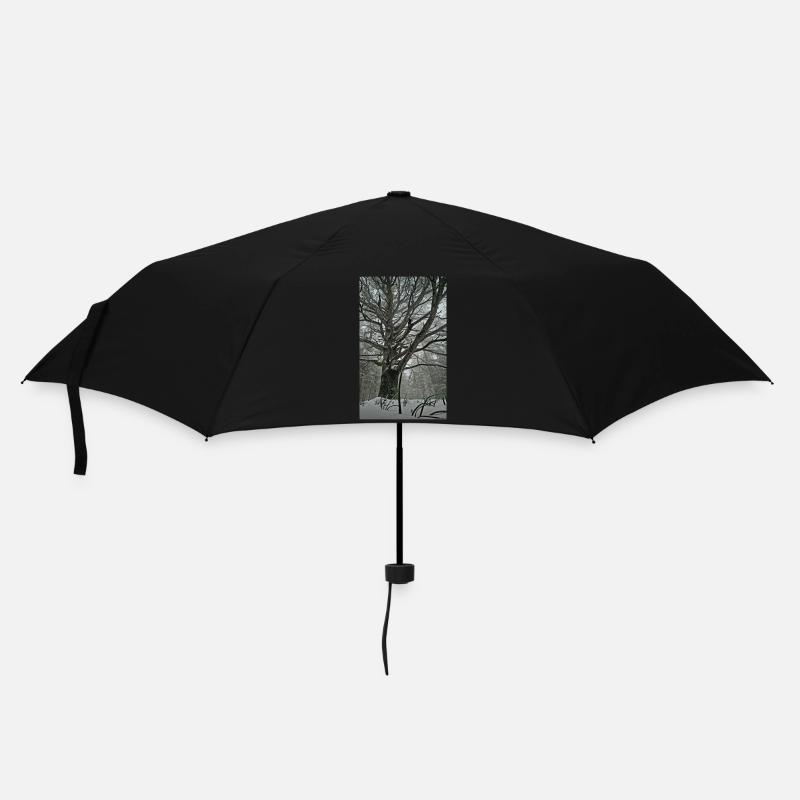 Träumen Sie vom Wald - Regenschirm (klein) - Schwarz