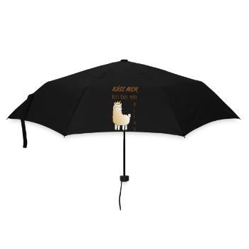 Küss mich, ich bin ein Prinz! - Regenschirm (klein) - Schwarz - Vorne