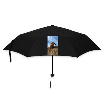 PXL 20221217 140939962 - Parapluie standard - noir - Devant