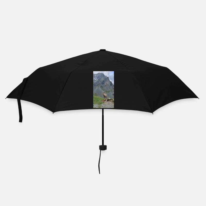 Alpine ibex - Umbrella (small) - black