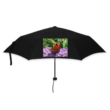 Close up of Peacock Butterfly on purple flowers - Umbrella (small) - black - Front