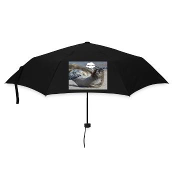 Robbe - Regenschirm (klein) - Schwarz - Vorne