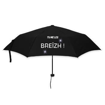 Geschenk für Männer, bretonischer Humor, humorvolles T-Shirt - Regenschirm (klein) - Schwarz - Vorne