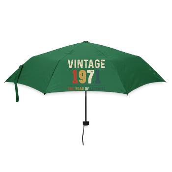 53 Jahre alter Jahrgang 1971 Geschenke zum 53. Geburtstag - Regenschirm (klein) - Flaschengrün - Vorne
