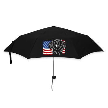 Deutscher Wachtelhund Amerika Fahne Hunde Wilsigns - Regenschirm (klein) - Schwarz - Vorne