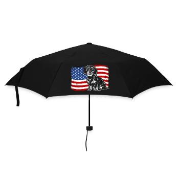 teckel à poil dur amérique flag chiens chiens wilsigns - Parapluie standard - noir - Devant