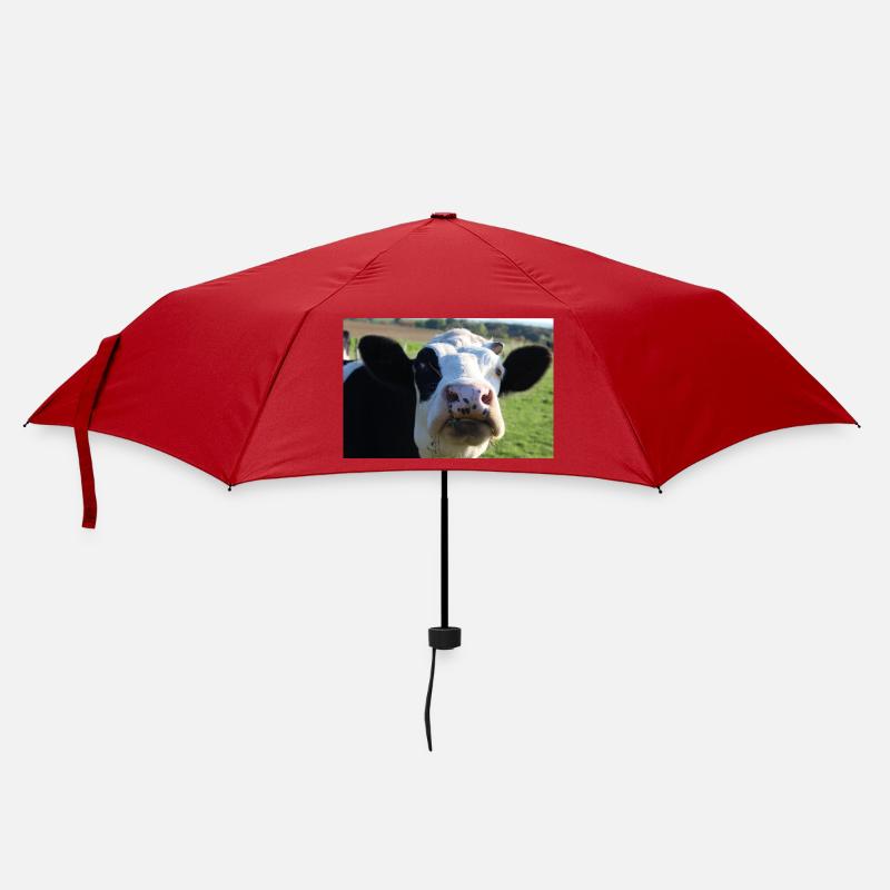 Kuh Poster - Regenschirm (klein) - Rot