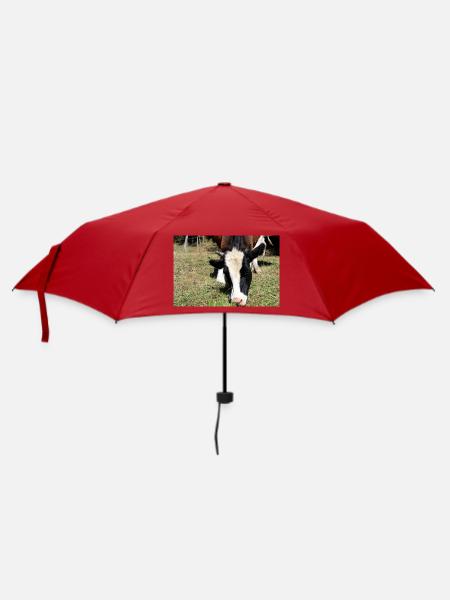 Kuh Poster - Regenschirm (klein) - Rot