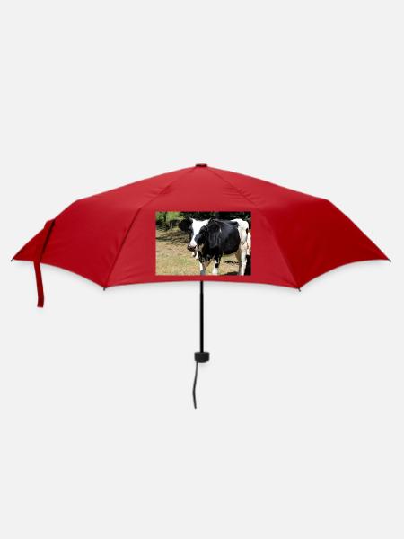 Kuh Poster - Regenschirm (klein) - Rot