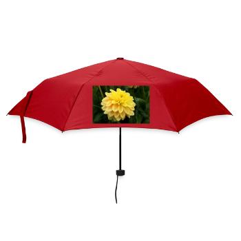 Dahlia fleur jaune, fleur - Parapluie standard - rouge - Devant