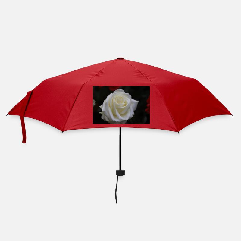 rose blanche - Parapluie standard - rouge