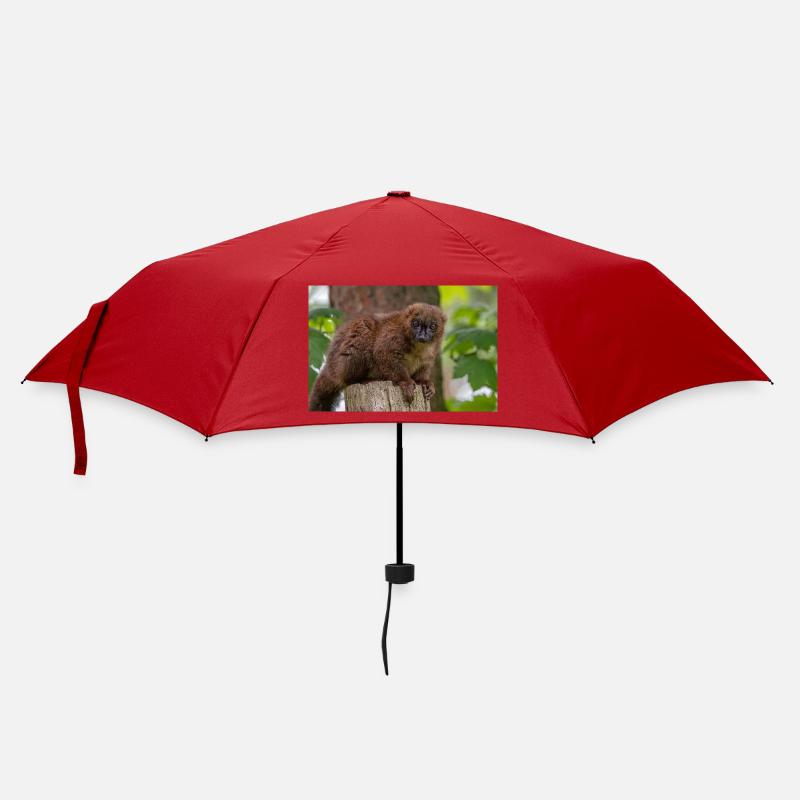 Roter Titi-Affe - Regenschirm (klein) - Rot