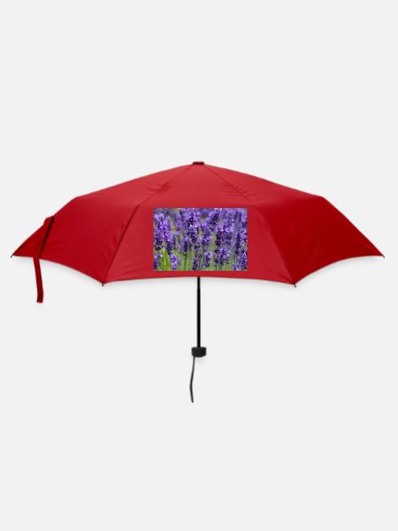 Lavendelfeld-Traumlandschaft - Regenschirm (klein) - Rot