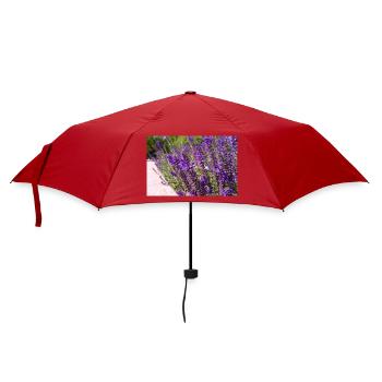 Vibrant Purple Salvia Flowers - Regenschirm (klein) - Rot - Vorne