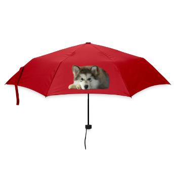 Chiot malamute Maia - Parapluie standard - rouge - Devant