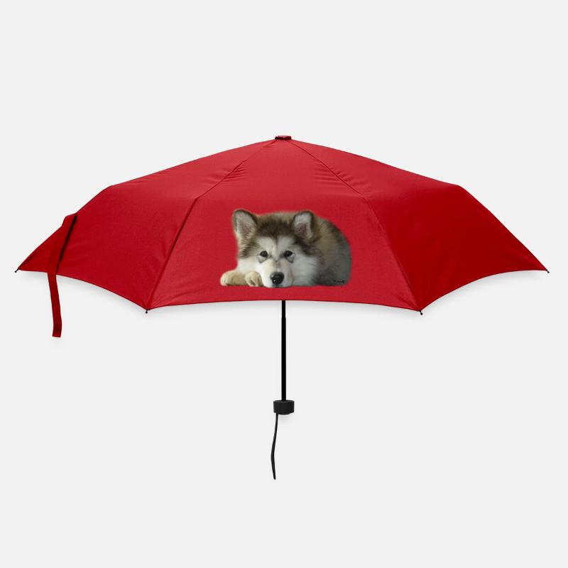 Chiot malamute Maia - Parapluie standard - rouge