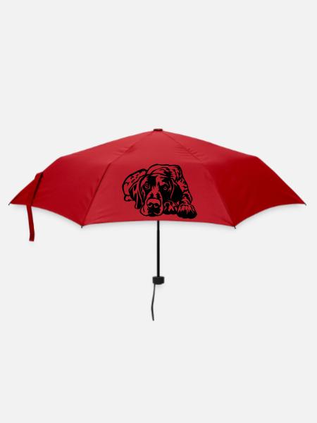 Deutsch Kurzhaar - Regenschirm (klein) - Rot