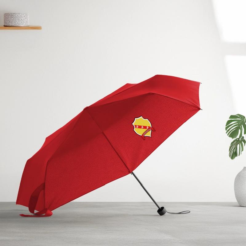 Regenschirm (klein)