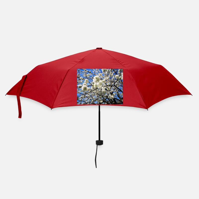 Blühender Kirschbaum im Frühling - Regenschirm (klein) - Rot