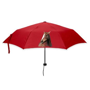reiten Pferd Lieben Reiterin Pferde Pferdesprüche - Regenschirm (klein) - Rot - Vorne