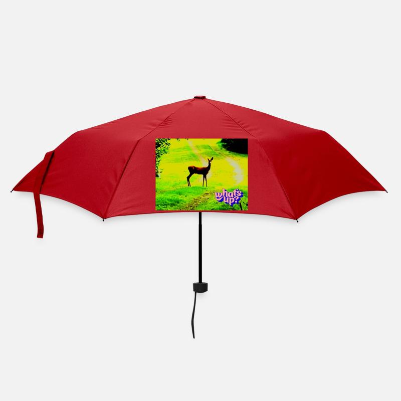 Was gibt's? - Regenschirm (klein) - Rot