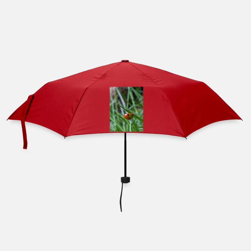 Gros plan : Coccinelle sur l’herbe - Parapluie standard - rouge