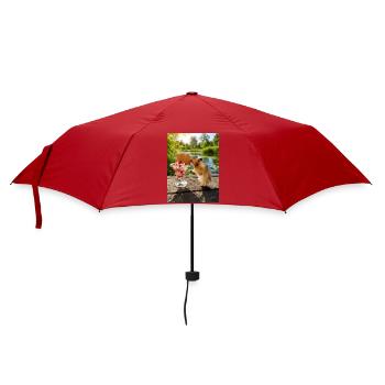 Chico 11: Eis am heissen Sommertag - Regenschirm (klein) - Rot - Vorne